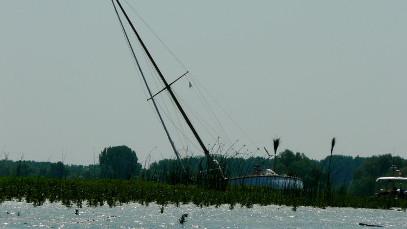 P1110639.JPG